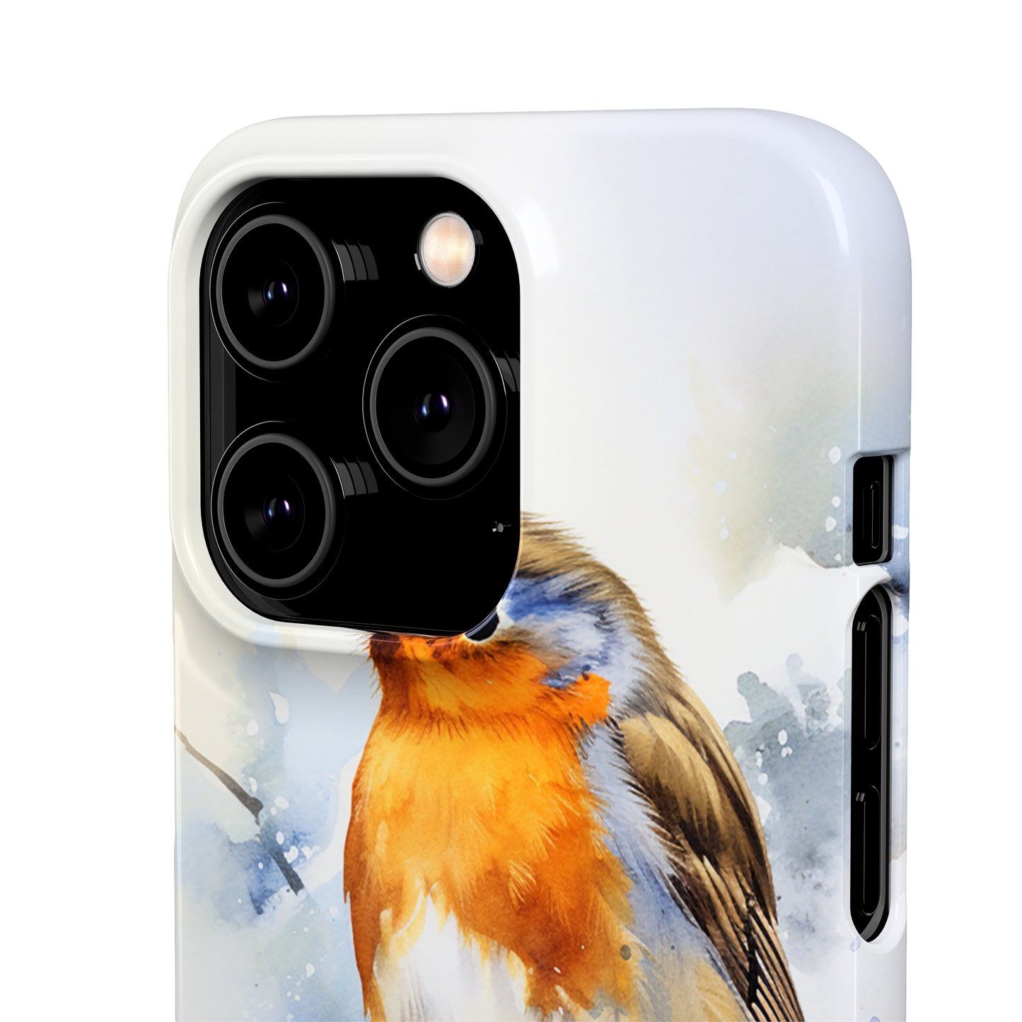 Winter Robin - Snap Cases