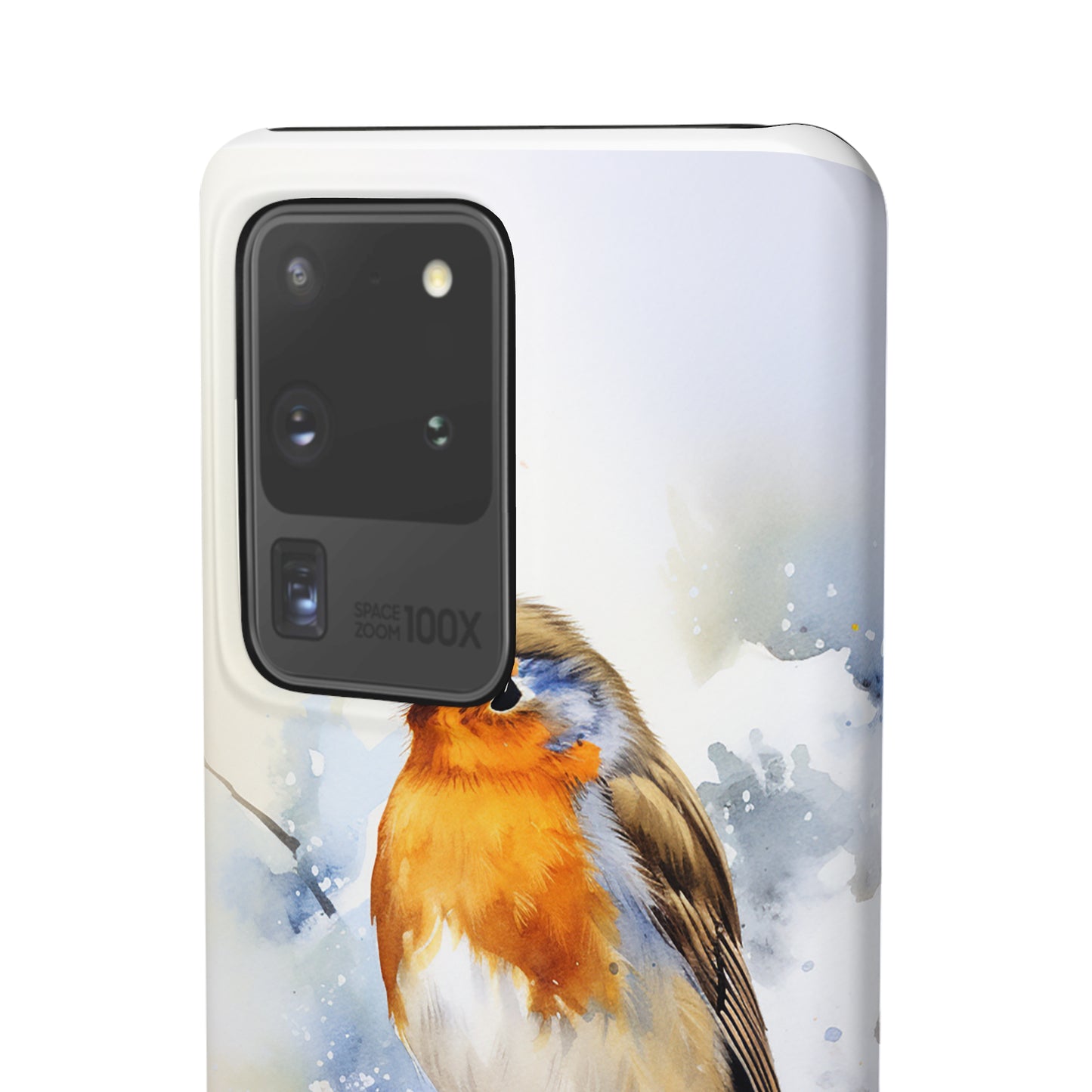 Winter Robin - Snap Cases
