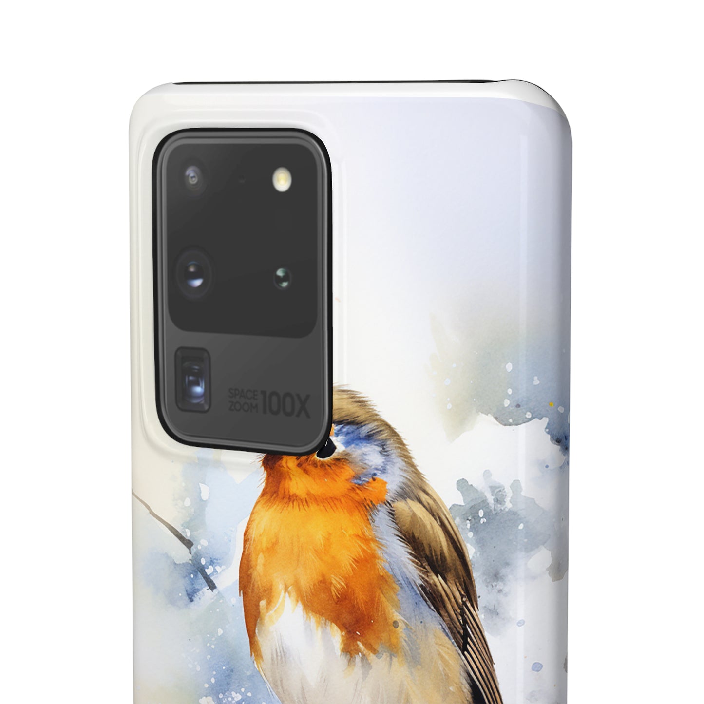 Winter Robin - Snap Cases