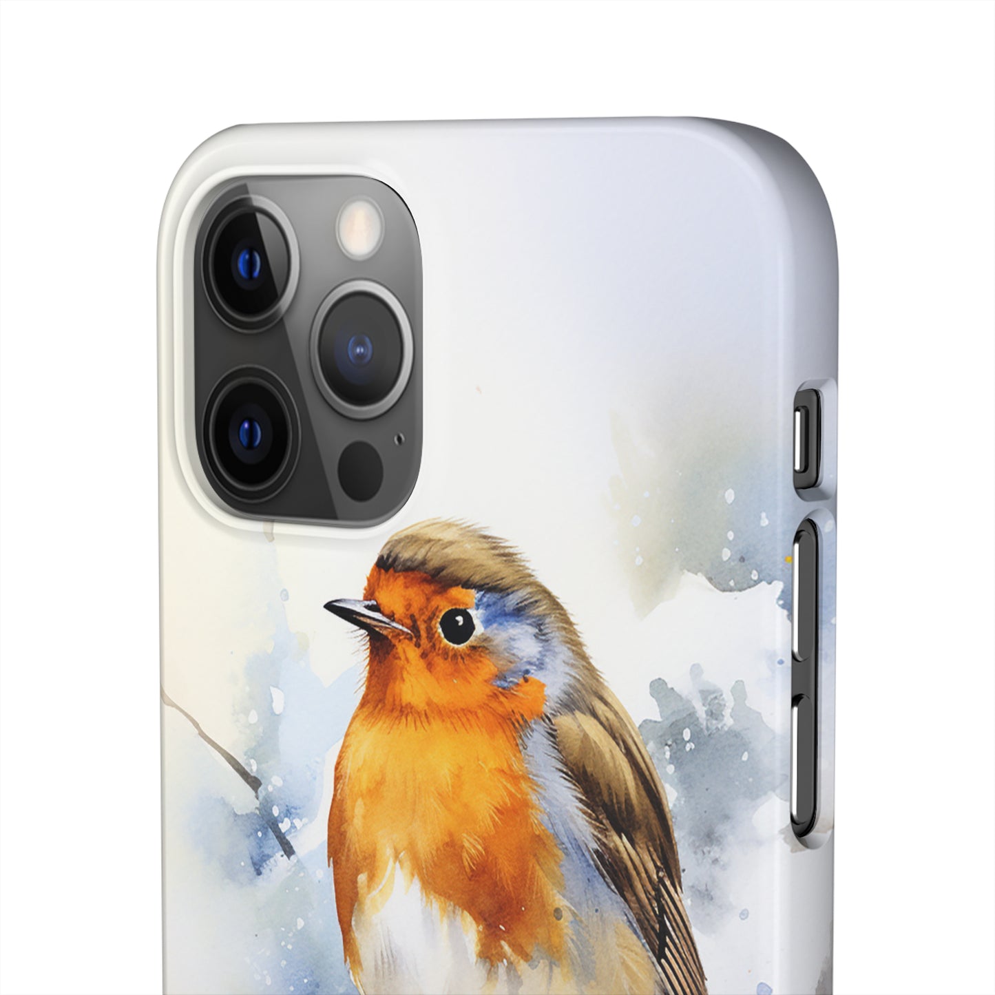 Winter Robin - Snap Cases