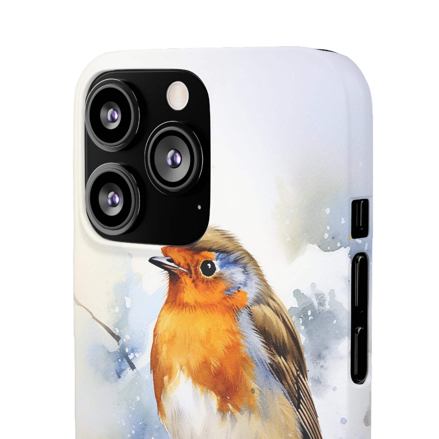 Winter Robin - Snap Cases
